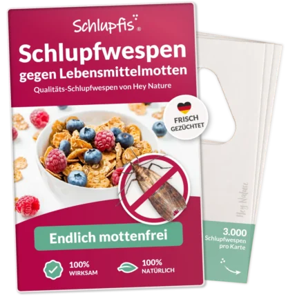 Schlupfwespen gegen Lebensmittelmotten