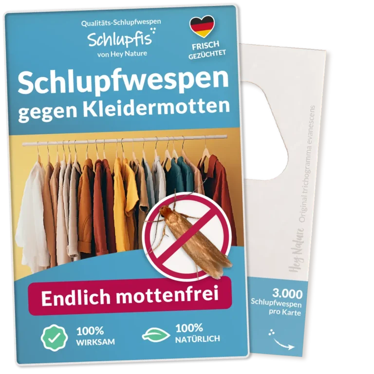 Schlupfwespen gegen Kleidermotten