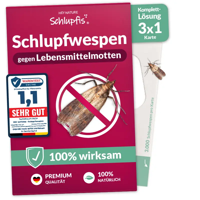 Schlupfwespen-gegen-Lebensmittelmotten_3x1 Schlupfwespen gegen Lebensmittelmotten - 3 x 1 Karte