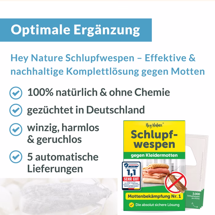 Empfehlung gegen Kleidermotten: Schlupfwespen, der natürliche Feind der Kleidermotte