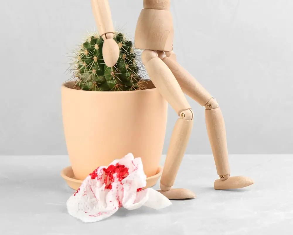Hämorrhoiden bluten - ist das gefährlich?