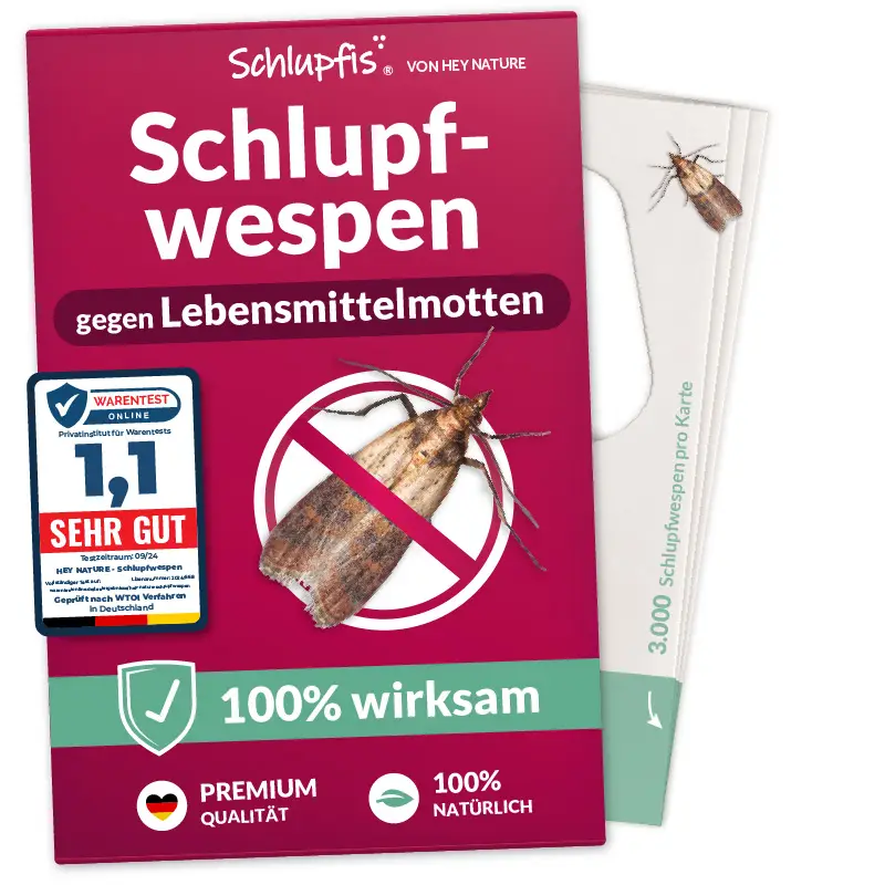 Schlupfwespen gegen Lebensmittelmotten von Hey Nature