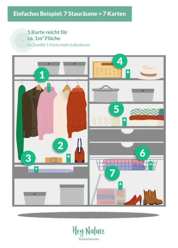 Schlupfwespen-Karten Anzahl berechnen - Beispiel Kleidermotten, Kleiderschrank Schlafzimmer