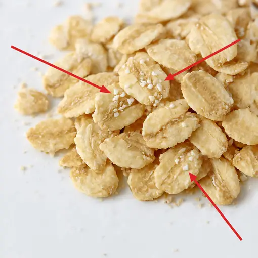 Motteneier kaum größer als Staubkörner im Müsli