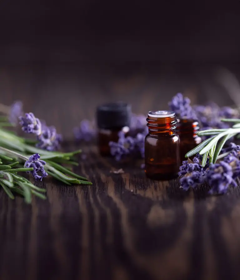 Lavendel und ätherische Öle als Hausmittel gegen Motten