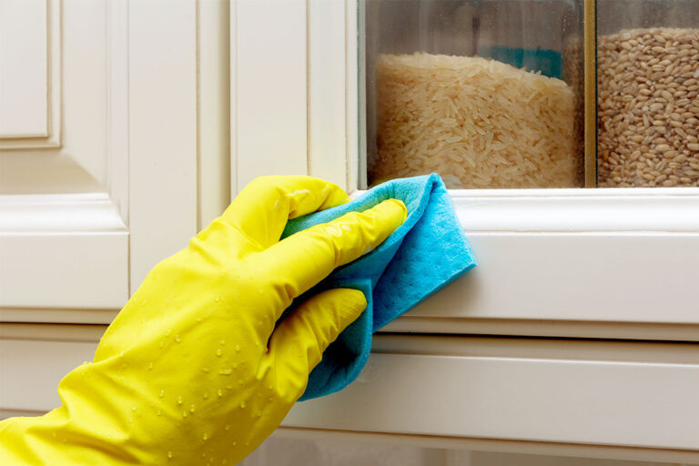 Reinigung im Bereich von Motten befallenen trockenen Lebensmitteln