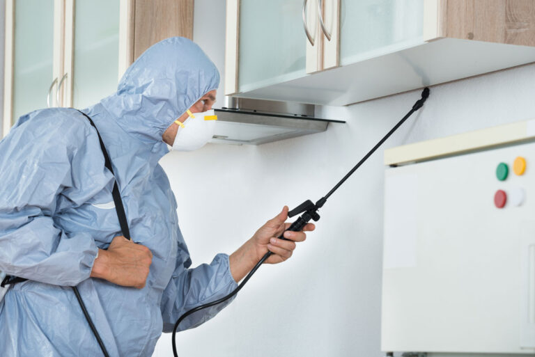 Schädlingsbekämpfer im Einsatz gegen Lebensmittelmotten in der Küche
