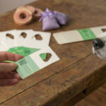 Schlupfwespen in der Nähe von Mensch und Tier (Hund, Katze, Haustier) sind nicht gefährlich