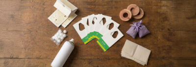 Schlupfwespen und andere Mittel gleichzeitig im Einsatz gegen Lebensmittel- und Kleidermotten