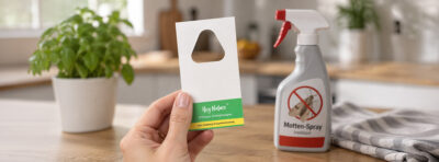 Schlupfwespen und Mottenspray, bzw. Insektenspray in der Küche